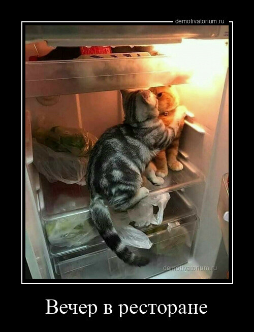 Демотиваторов порция 