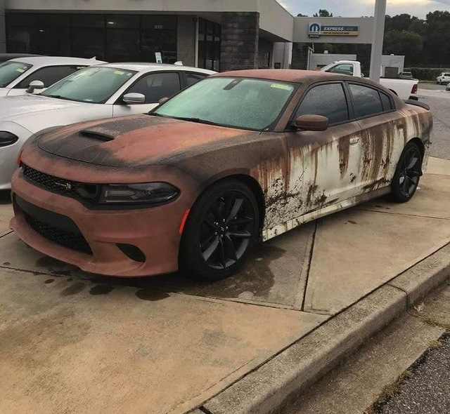 Подборка интересных фото со всего мира Подборка интересных фото со всего мира курьезы,природа,фотографии