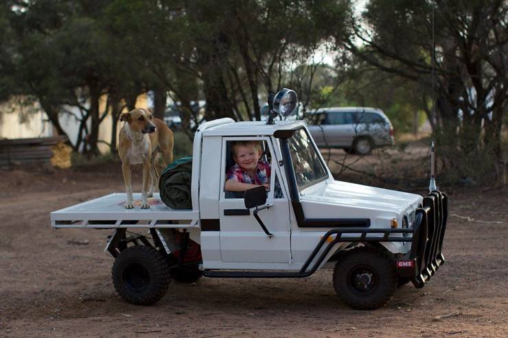 Подборка прикольных картинок. Вечерний выпуск Подборка прикольных картинок. Вечерний выпуск смешные картинки,фото-приколы,юмор