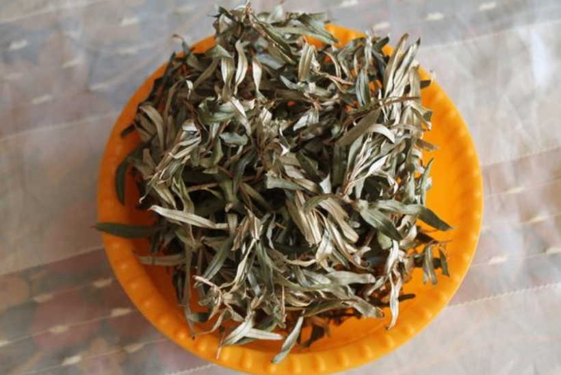 Лечение рака облепихой: хочу свой метод рассказать, как онкологию обуздать!