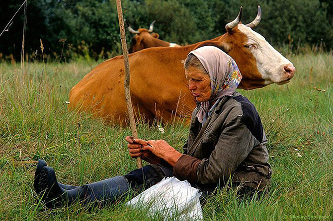 В затерянном мире