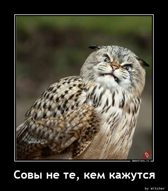 Демотиваторы для всех: «Такое вот лето»  