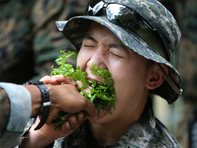 Что едят солдаты в разных армиях мира: современные ИРП еда,наука,продукты,технологии,человек