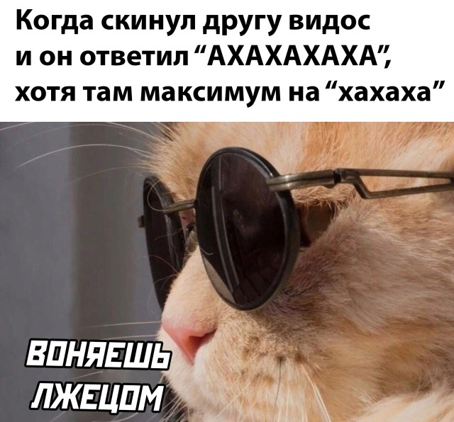 Подборка прикольных картинок  приколы,смешные картинки,юмор