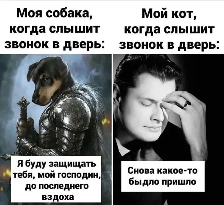 Выдуманное обратно не вдумаешь. Выдуманное обратно не вдумаешь.