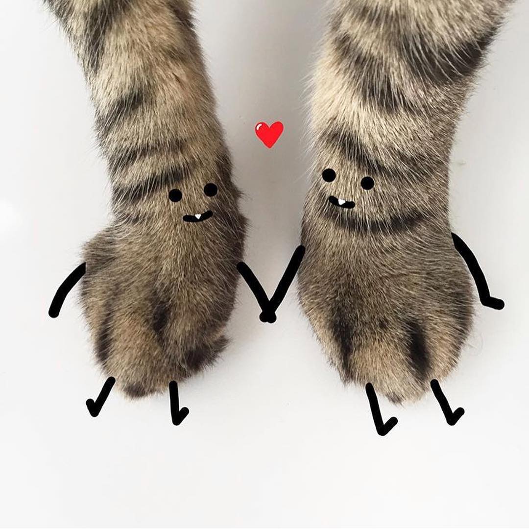 Забавный мир Шона Чармац 