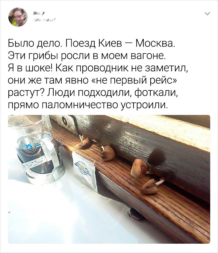 19 забавных личных историй, которые могли произойти только в поездах поезда,Россия,транспорт,юмор