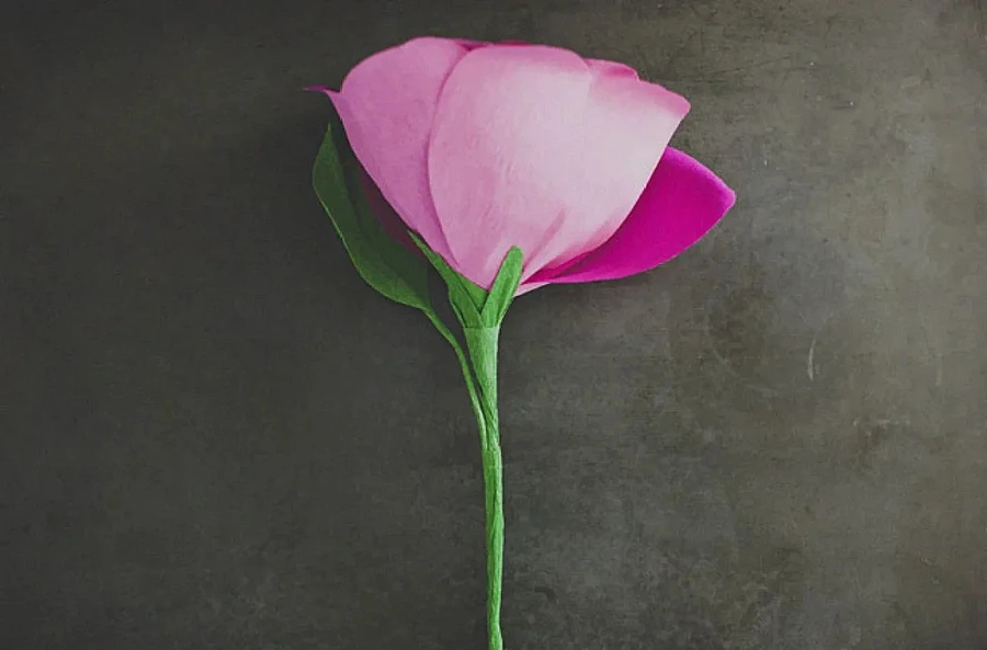 Как сделать розу из бумаги: 4 способа можно, полоски, сделать, в виде, заготовки, флористической, из бумаги, показано, клеем, бумаги, лепесток, вокруг, цветов, бумага, способом, лепестков, цветочек, цветы, размером, по диагонали