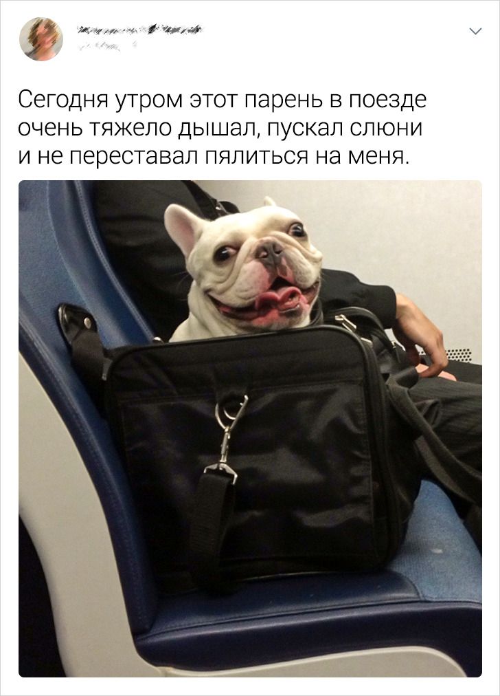 19 забавных личных историй, которые могли произойти только в поездах поезда,Россия,транспорт,юмор