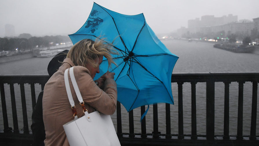 В ближайшие часы в Москве ожидается гроза с ливнем и порывистым ветром