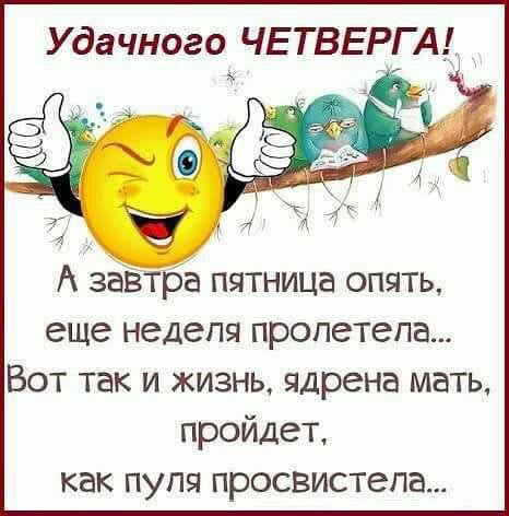 Сегодня на улице встретил бабулю в футболке с надписью 