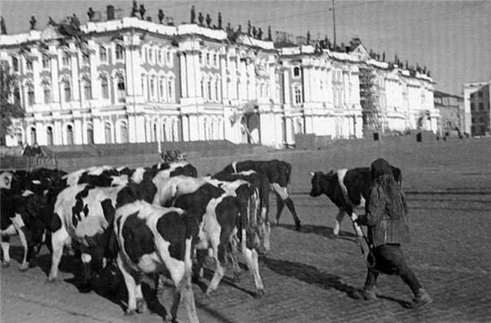 Подборка редких фотографий со всего мира. Часть 40 (40 фото)