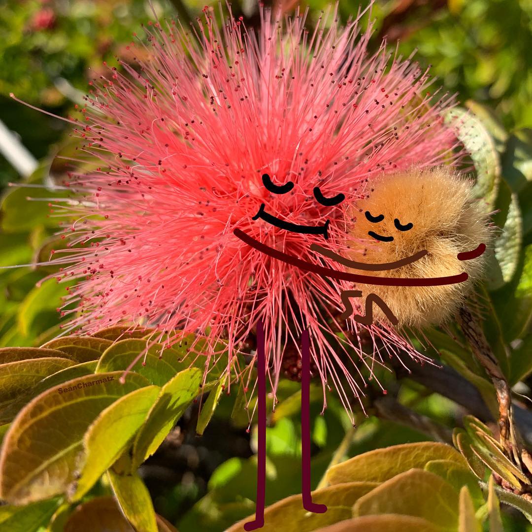 Забавный мир Шона Чармац 