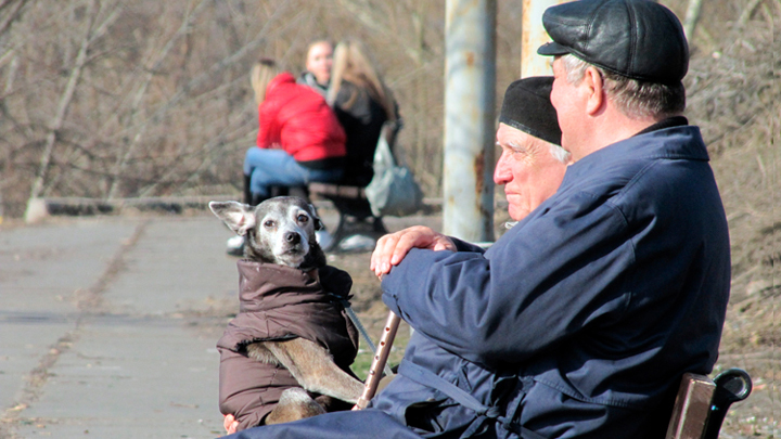 ПРОНЬКО: "ГОТОВИТСЯ НОВАЯ ПЕНСИОННАЯ АФЕРА"