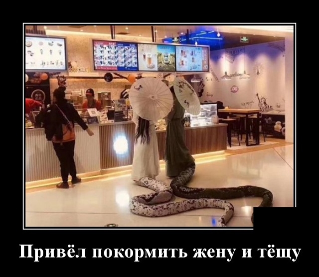 Демотиваторы на вторник 6 ноября 