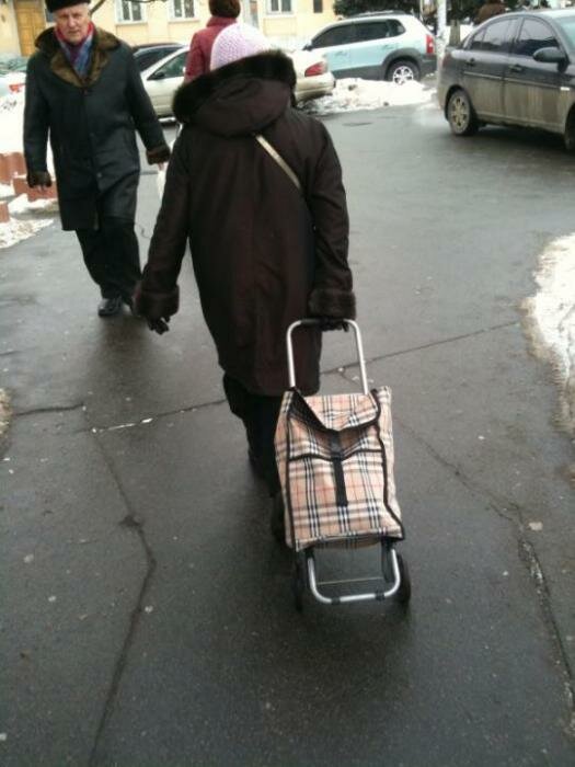 Пенсионерка с тележкой с принтом Burberry. /Фото: 3dtoday.ru