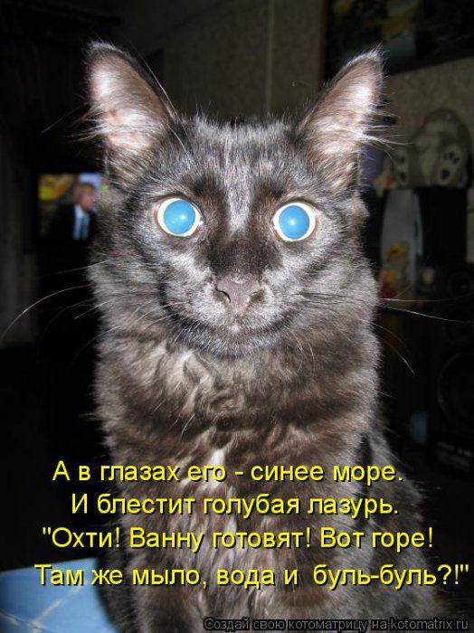 Мысли вслух :)