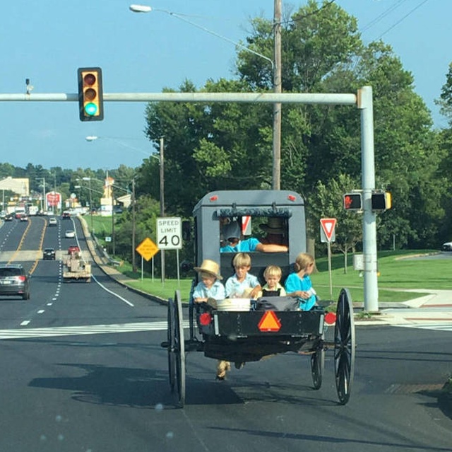 Подборка прикольных картинок Подборка прикольных картинок смешные картинки