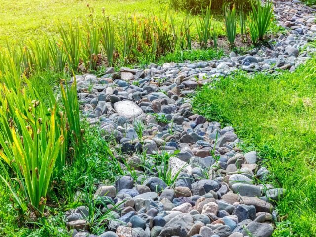Как я создала сухой ручей своими руками — о чем не забыть в процессе ручья, ручей, чтобы, сухого, природе, Людмила, можно, камень, которые, пруда, Светлицкая, совсем, очень, более, растения, камни, нужно, такие, сухой, потом