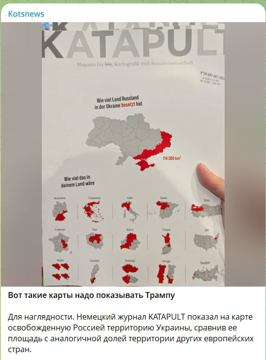 Скриншот с канала Kotsnews