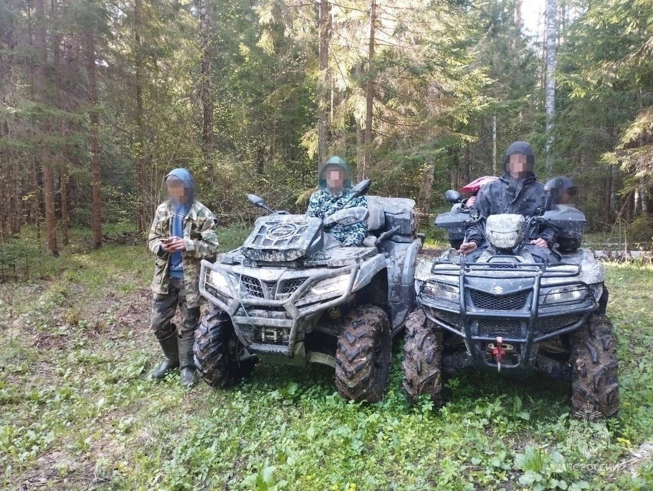 В Тверской области нашли подростков, заблудившихся в лесу