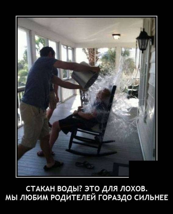 Смешные картинки в чёрной рамке для хорошего настроения! 