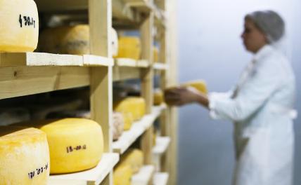 Россия втягивает Лукашенко в «сырную войну»