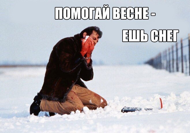 Забавные картинки с надписями до слез 