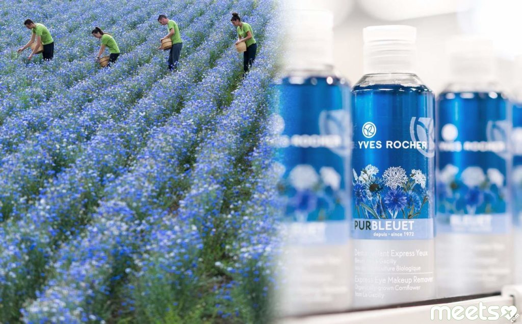 Botanical Beauty Valley