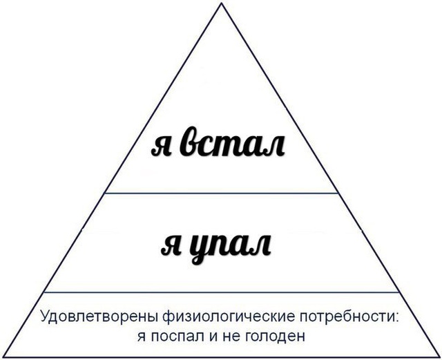 Подборка смешных картинок  смешные картинки