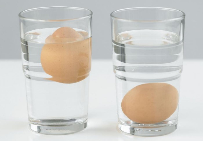 Всплывшее яйцо - плохой признак, а вот утонувшее на дно - свежий продукт / Фото: syl.ru