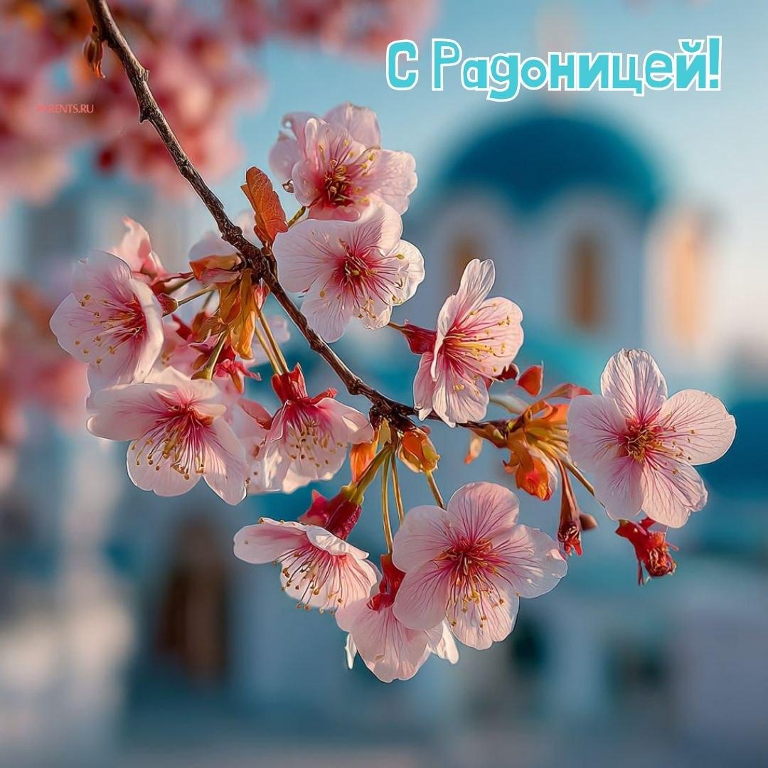 Красивые открытки на Радоницу: 40+ душевных картинок с днем поминовения Радоницу, открытки, после, Пасхи, Поэтому, жизнь, поводы, смысле, традиционном, поздравляют, Радоницей, радостиС, находить, близкие, равно, хорошее, только, вспоминать, вечная, должны