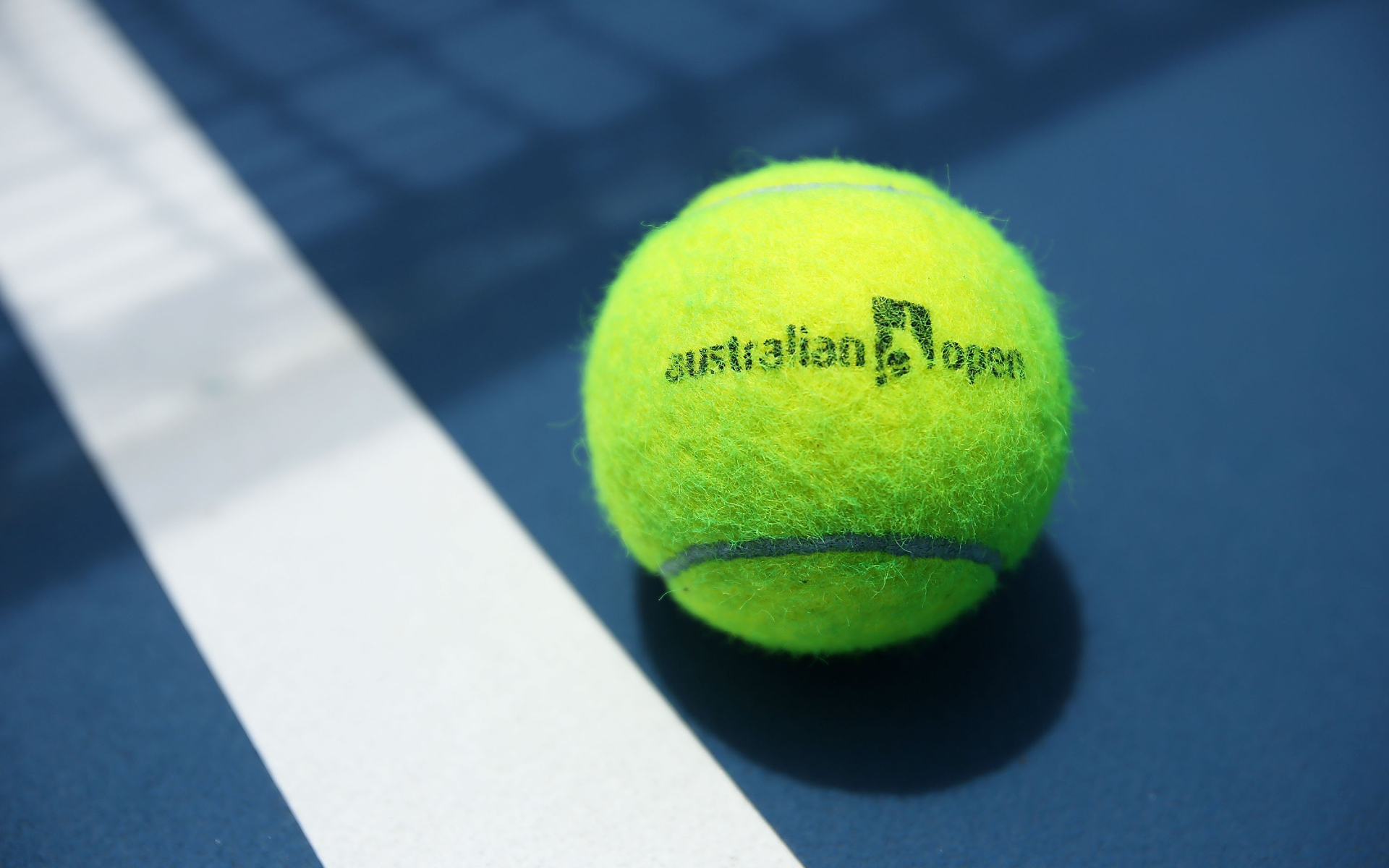 Судья Australian Open покинул Австралию после претензий к Джоковичу