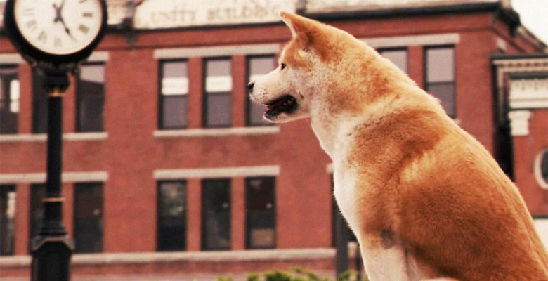 Скажите «гав»: самые милые и обаятельные собаки в кино