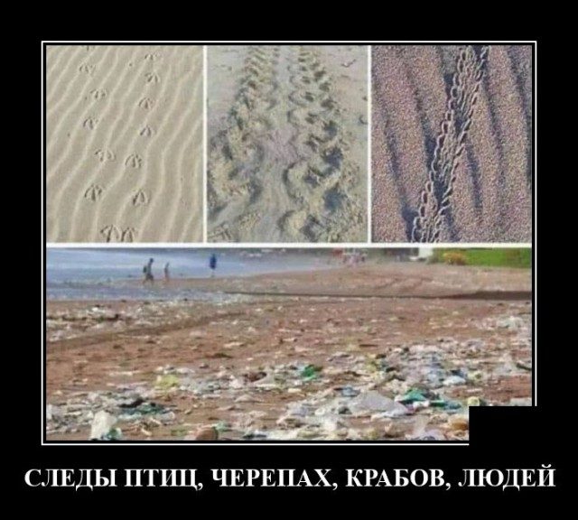 Смешные картинки в чёрной рамке для хорошего настроения! 