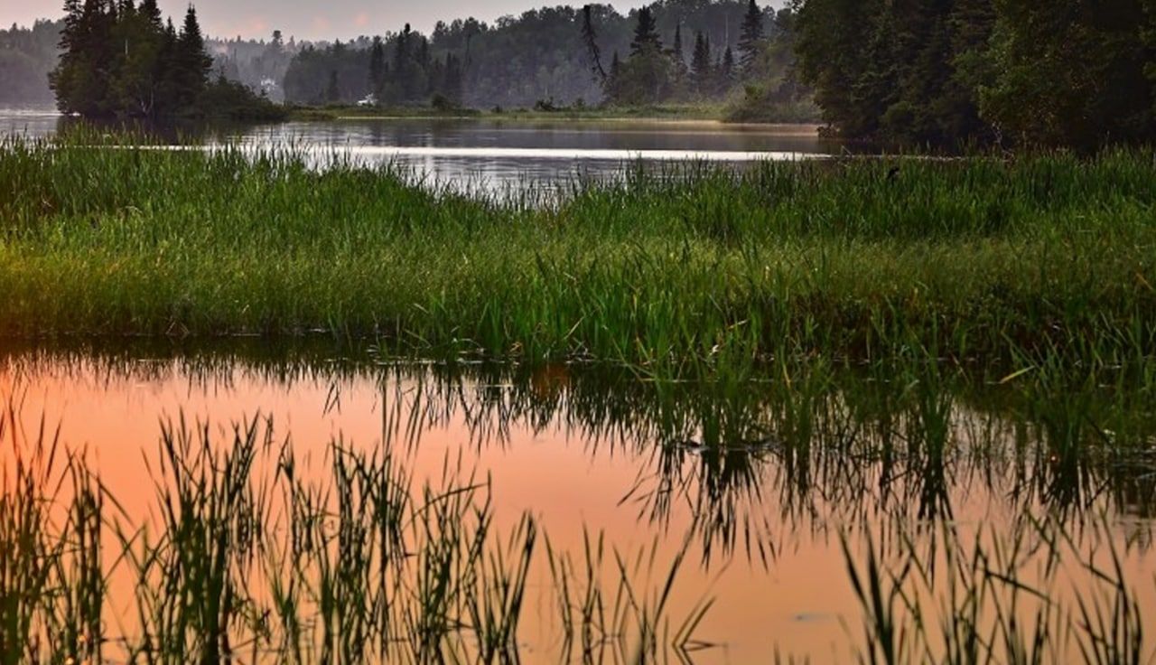 Девушка пропала после падения с моста на Сахалине