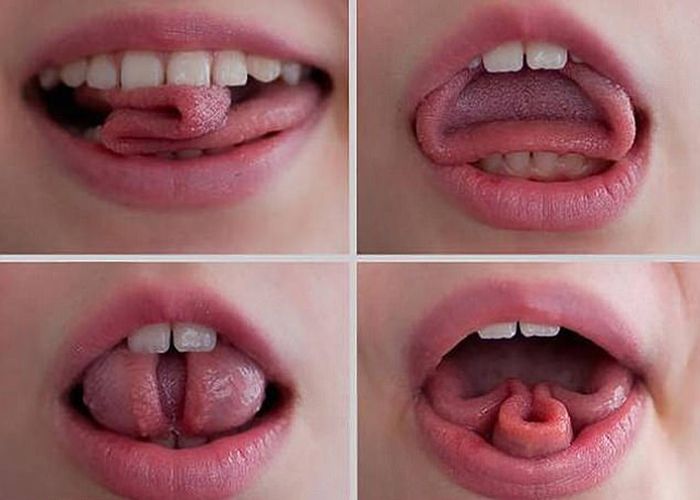 язык, сложенный во рту