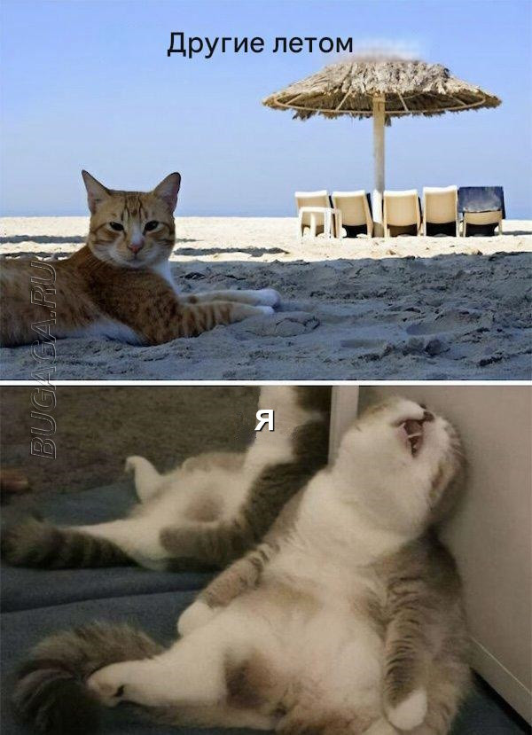 Юмор для тех, кто уже повзрослел и понял, что «приключение» — это когда выключили горячую воду 