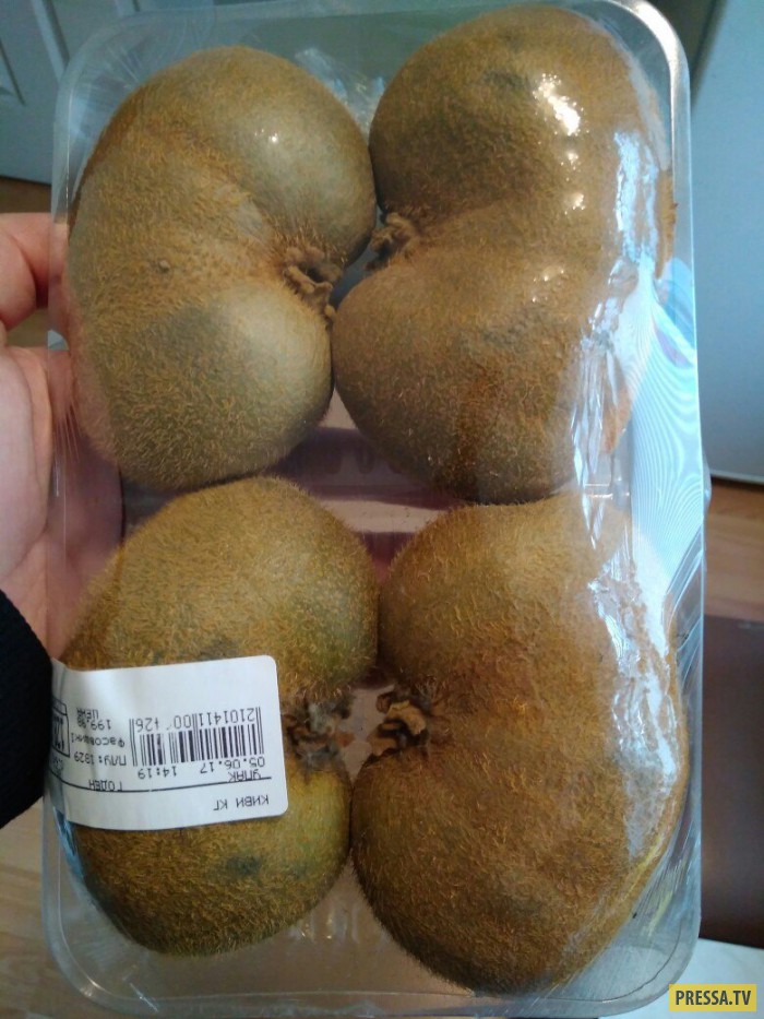 Почки смешные картинки