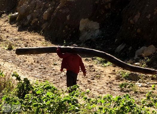 Загадочные способности человека Загадочные способности человека