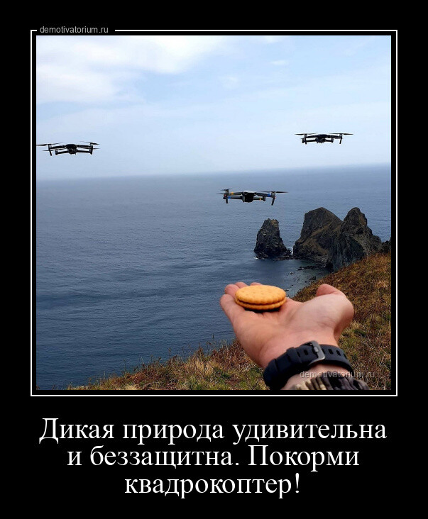 Демотиваторов порция 