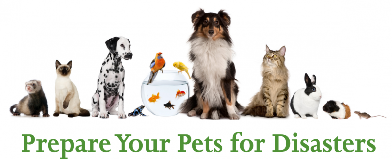 Готовность к войне и катаклизмам Готовность к войне и катаклизмам геополитика