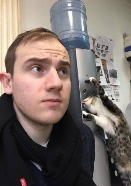 Прикольные фото приколы и веселые картинки для настроения 