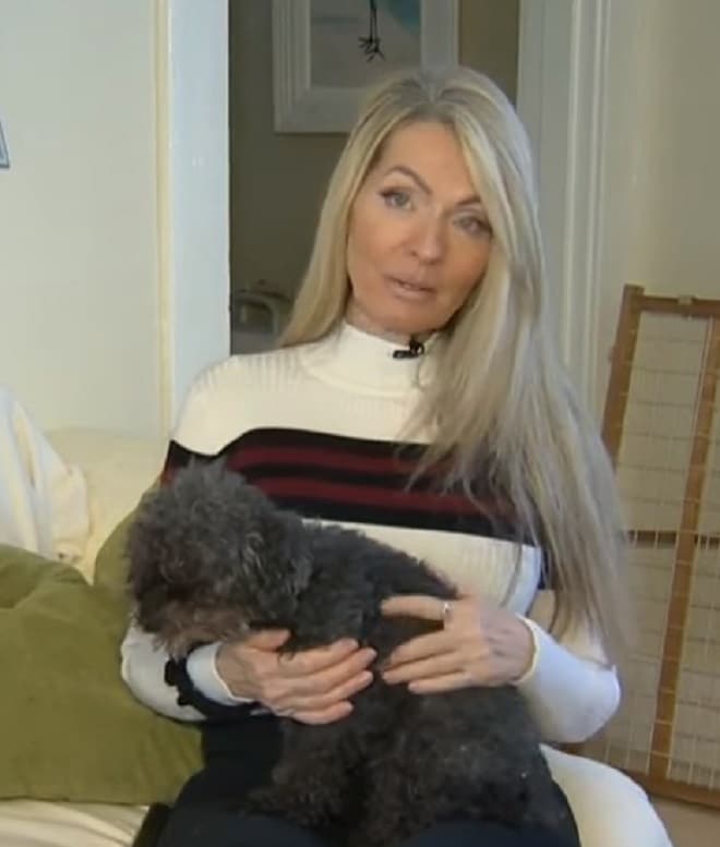 Собака на руках