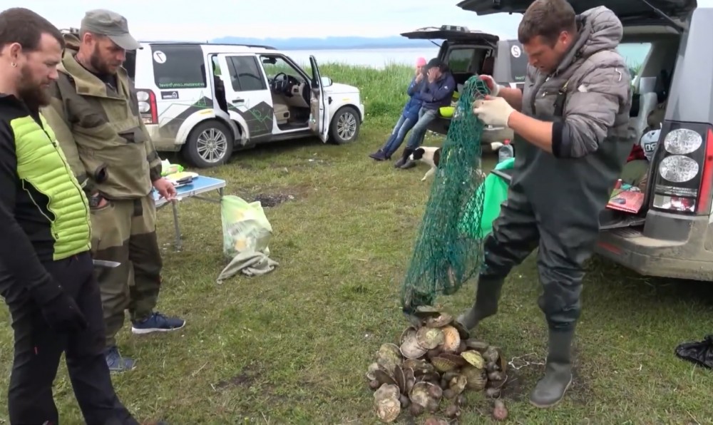 Загадка устрицы животные