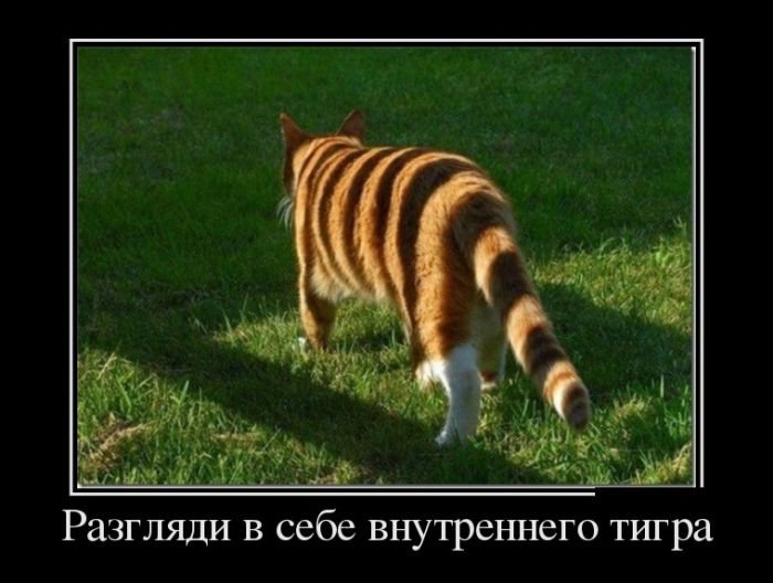 Забавный пост демотиваторов. Свежие приколы