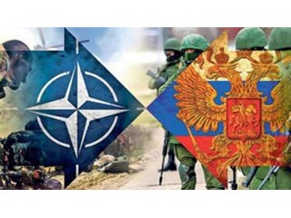 НАТО выпустило безумное обращение к России геополитика