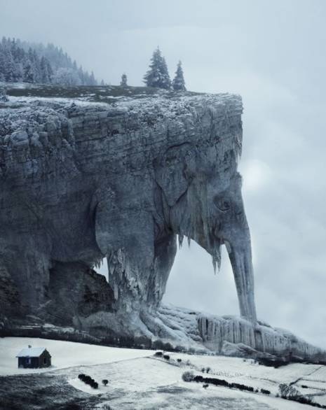 Подборка смешных картинок Подборка смешных картинок смешные картинки