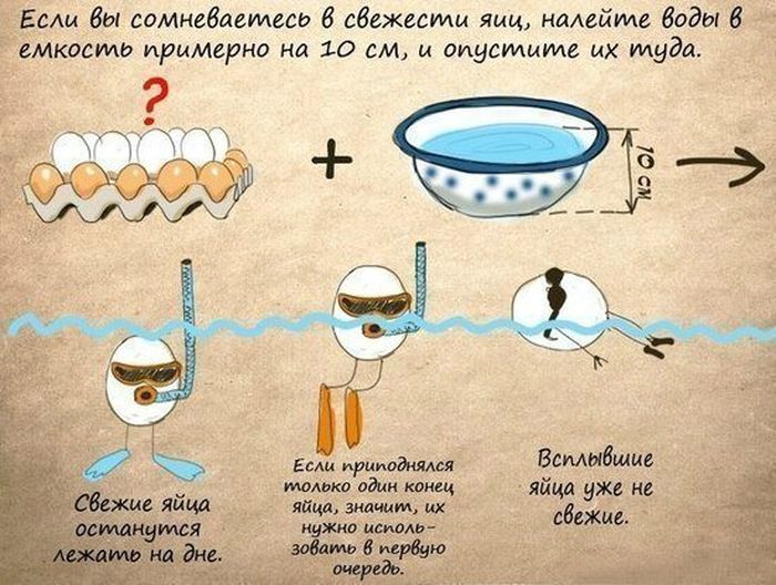 Полезные советы от Шеф-поваров  Спасибо, информация, попаласьСырыКаши Стейки