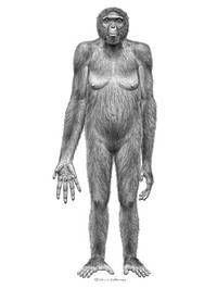 Почему обезьяны не эволюционируют и не превращаются в людей? Наука, Эволюция, Биология, Люди, Обезьяна, Факты, Мозг, Теория эволюции, Длиннопост